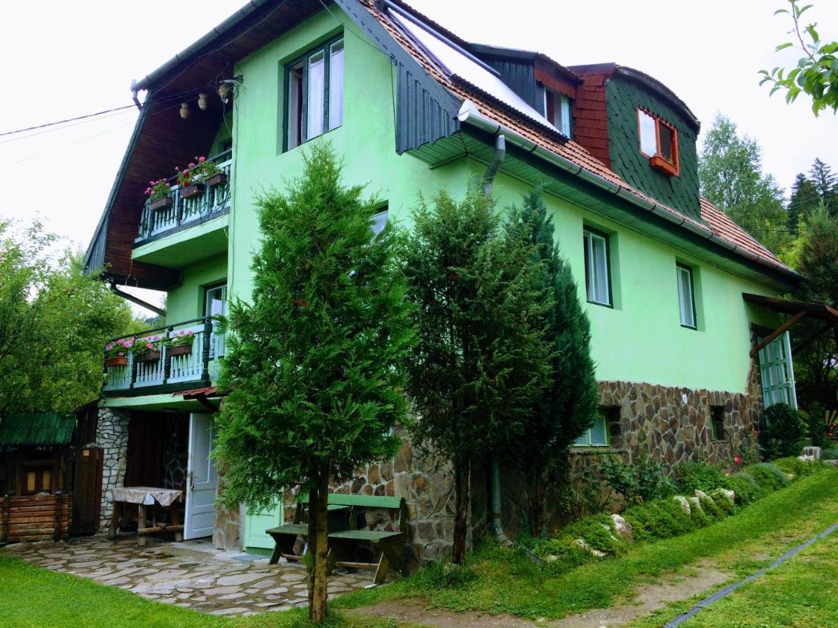 Pensiunea Panorama BaileTusnad Luaran gambar