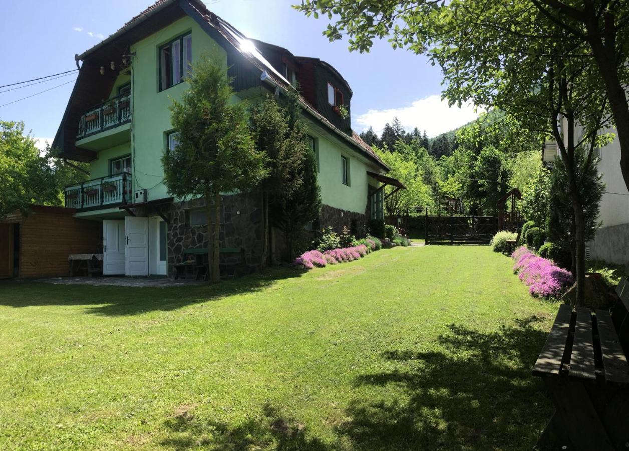 Pensiunea Panorama BaileTusnad Luaran gambar