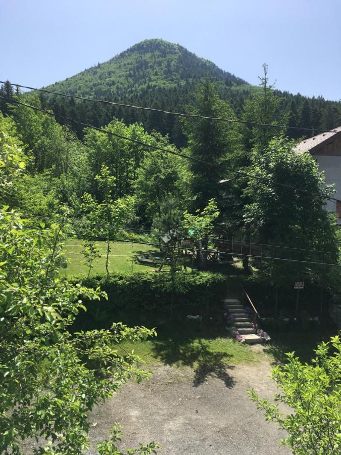 Pensiunea Panorama BaileTusnad Luaran gambar