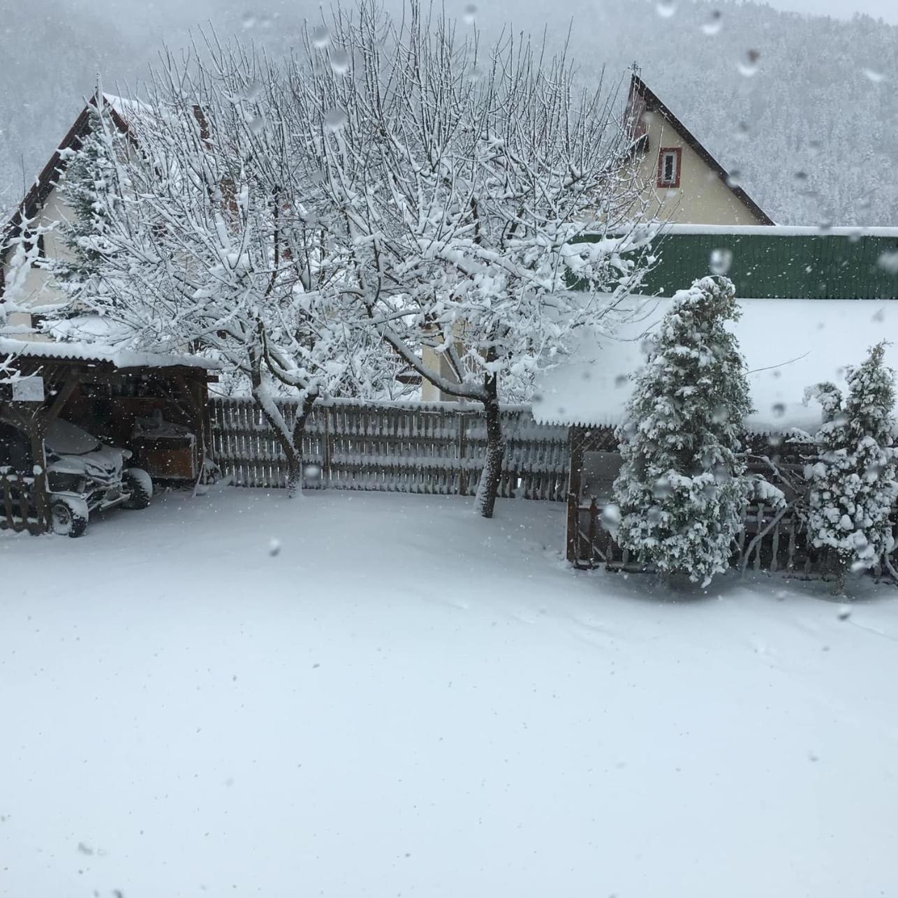 Pensiunea Panorama BaileTusnad Luaran gambar